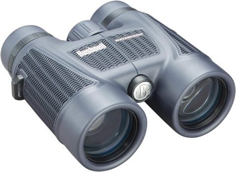 Bushnell H2O Roof Prism Binoculars 158042