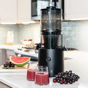 Omega Effortless Batch Juicer EBBJ01