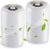 TPLMB 2 Pack Portable Air Purifiers with HEPA Filters