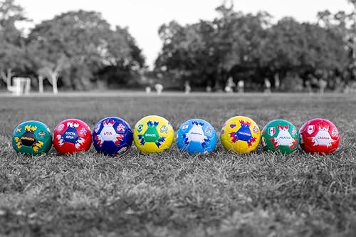 A Plus Collectibles Copa America 2024 Mini Soccer Ball - Image 3