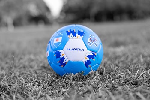 A Plus Collectibles Copa America 2024 Mini Soccer Ball - Image 2