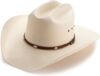 Stetson Alamo Hat