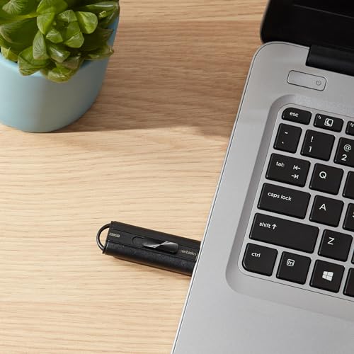 Amazon Basics 256GB USB 3.1 Flash Drive - Image 4