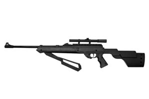 Bear River Sportsman 900 BB/Pellet Rifle, 800 FPS