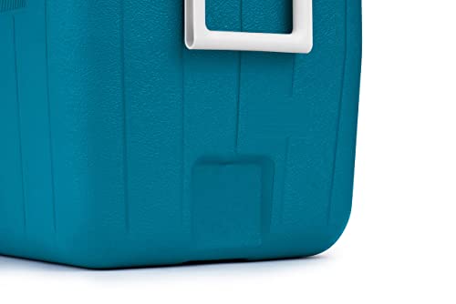 Coleman 48qt Insulated Portable Hard Cooler - Image 4