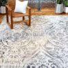 Home Dynamix Distressed Damask Indoor/Outdoor Area Rug