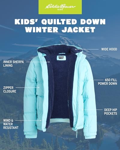 Eddie Bauer Heavyweight Quilted Down Jacket - Image 2
