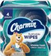 Charmin Flushable Wipes