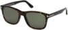 Tom Ford FT0595 Eric Sunglasses