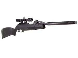 Gamo Swarm Whisper .22 Caliber Air Rifle