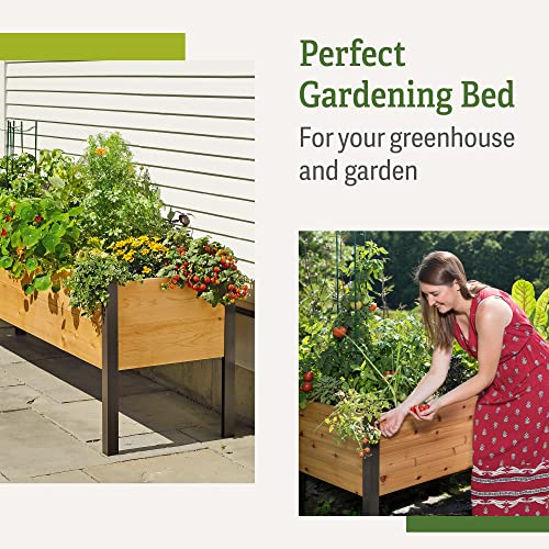 Gardener's Supply Company Raised Cedar Garden Bed Planter Box - Image 4