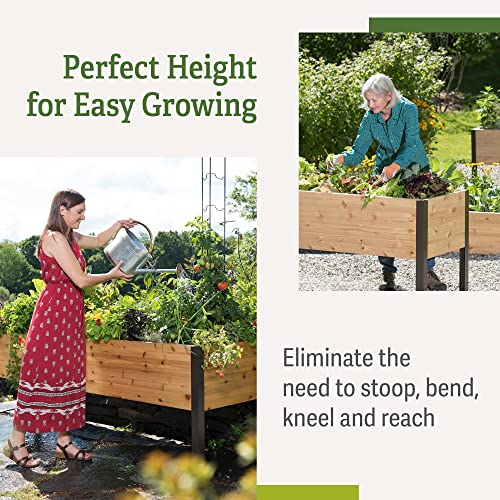 Gardener's Supply Company Raised Cedar Garden Bed Planter Box - Image 5