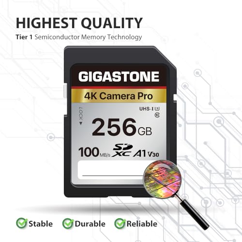 Gigastone 256GB 4K Pro SDXC Card - Image 2