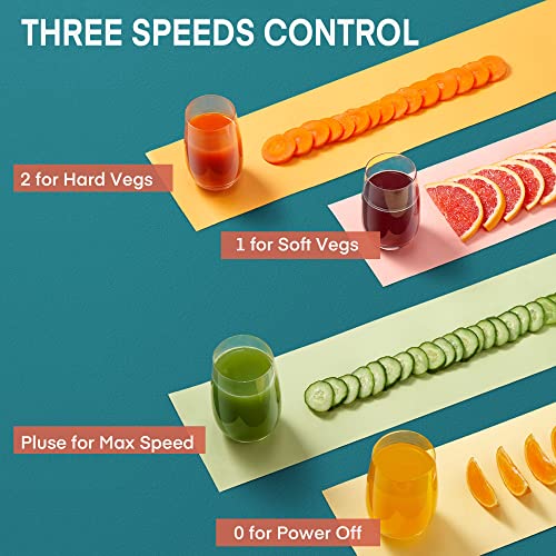 Juilist 800W Wide Mouth Juicer with 3 Speeds - Image 4