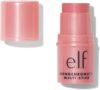 e.l.f. Monochromatic Multi Stick