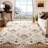 Safavieh Moroccan Tassel Shag Area Rug, 9′ x 12′