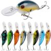 Lures & Baits