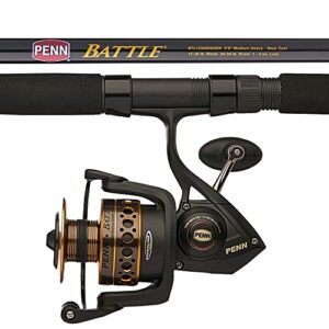 PENN 6000 9′ Medium Heavy Fishing Combo