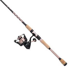 PENN Passion II Spinning Reel & Rod Combo
