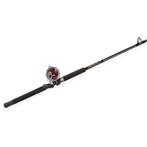 PENN Special Senator 6.5′ Fishing Combo