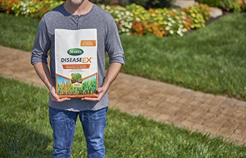 Scotts DiseaseEx Lawn Fungicide, 4 Weeks Protection - Image 2