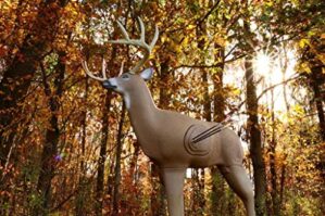Shooter 3D Deer Archery Target