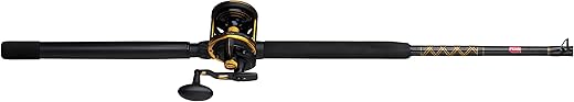 PENN Squall II Lever Drag Rod & Reel
