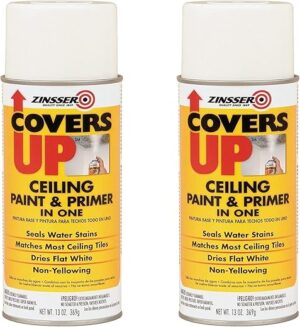 Stain Sealing Ceiling Paint, White, 2-Pack