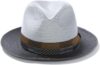 Stetson Fedoras Hat