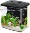 AQUANEAT 1.2 Gallon Betta Fish Tank Starter Kit