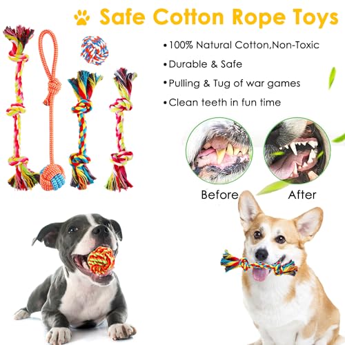 Aipper Dog Puppy Toys 23 Pack, Chew Toys - Image 5