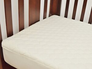 American Baby Company Waterproof Crib And Toddler Mattress Protector