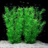 JIHAQUA Aquarium Decor Plastic Plants 21 Inches (Green 2pcs)