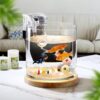 SANOSY Aquarium Starter Kit 0.81-Gallon Fish Tank