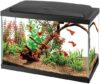 Aqueon Aquarium Starter Kit with LED Lighting