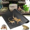 Vodolo Bearded Dragon Reptile Terrarium Carpet Substrate