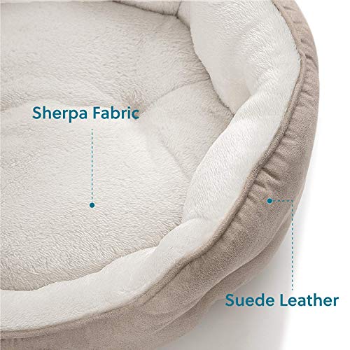 Bedsure Dog Beds For Small Dogs, 20 Inches - Image 3