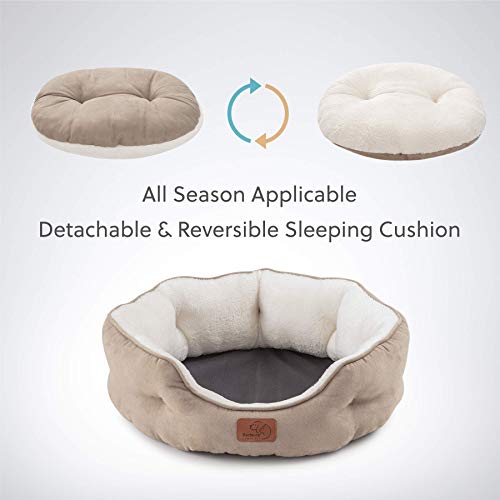 Bedsure Dog Beds For Small Dogs, 20 Inches - Image 4