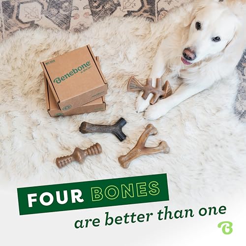 Benebone Medium Dog Chew Toys, 60lbs and Under - Image 4