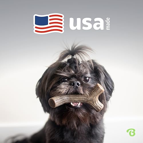 Benebone Medium Dog Chew Toys, 60lbs and Under - Image 5