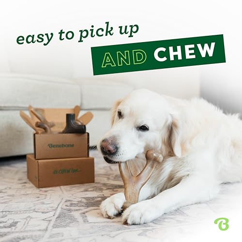 Benebone Medium Dog Chew Toys, 60lbs and Under - Image 2