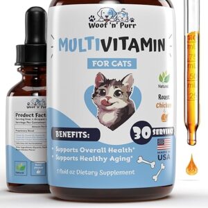 Cat Health & Wellness