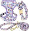 Beirui Cute Girl Dog Collar Leash Set XS