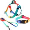 QQPETS Dog Harness Collar Leash – Adjustable 5FT Leash