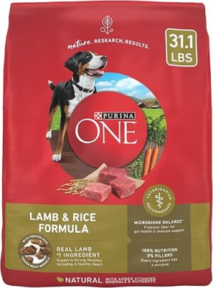 Purina ONE Dry Dog Food Lamb and Rice – 31.1 lb. Bag