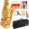 GLORY E Flat Alto Saxophone with 11reeds