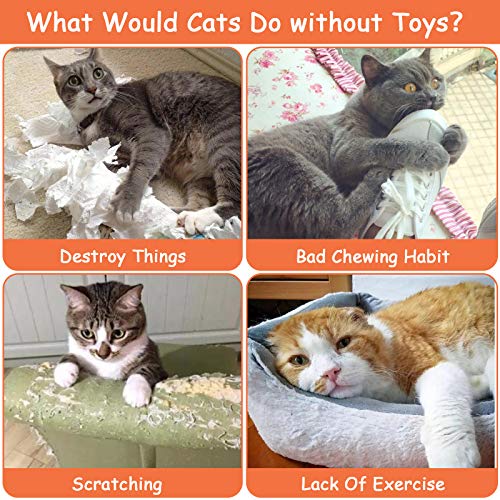 ETEKYER Catnip Toys For Indoor Cats Kittens - Image 5