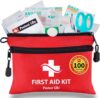 Protect Life 100pcs First Aid Kit