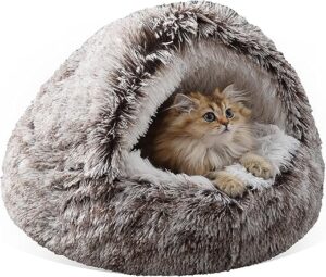 Cat Beds