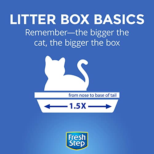 Fresh Step Clumping Cat Litter With Activated Charcoal, 14 lb - Image 2